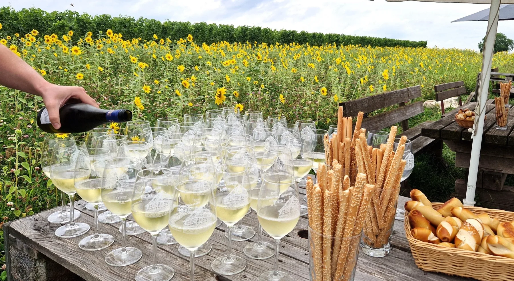 Viele gefüllte Weingläser und Gebäck für einen Empfang am Sonnenblumenfeld