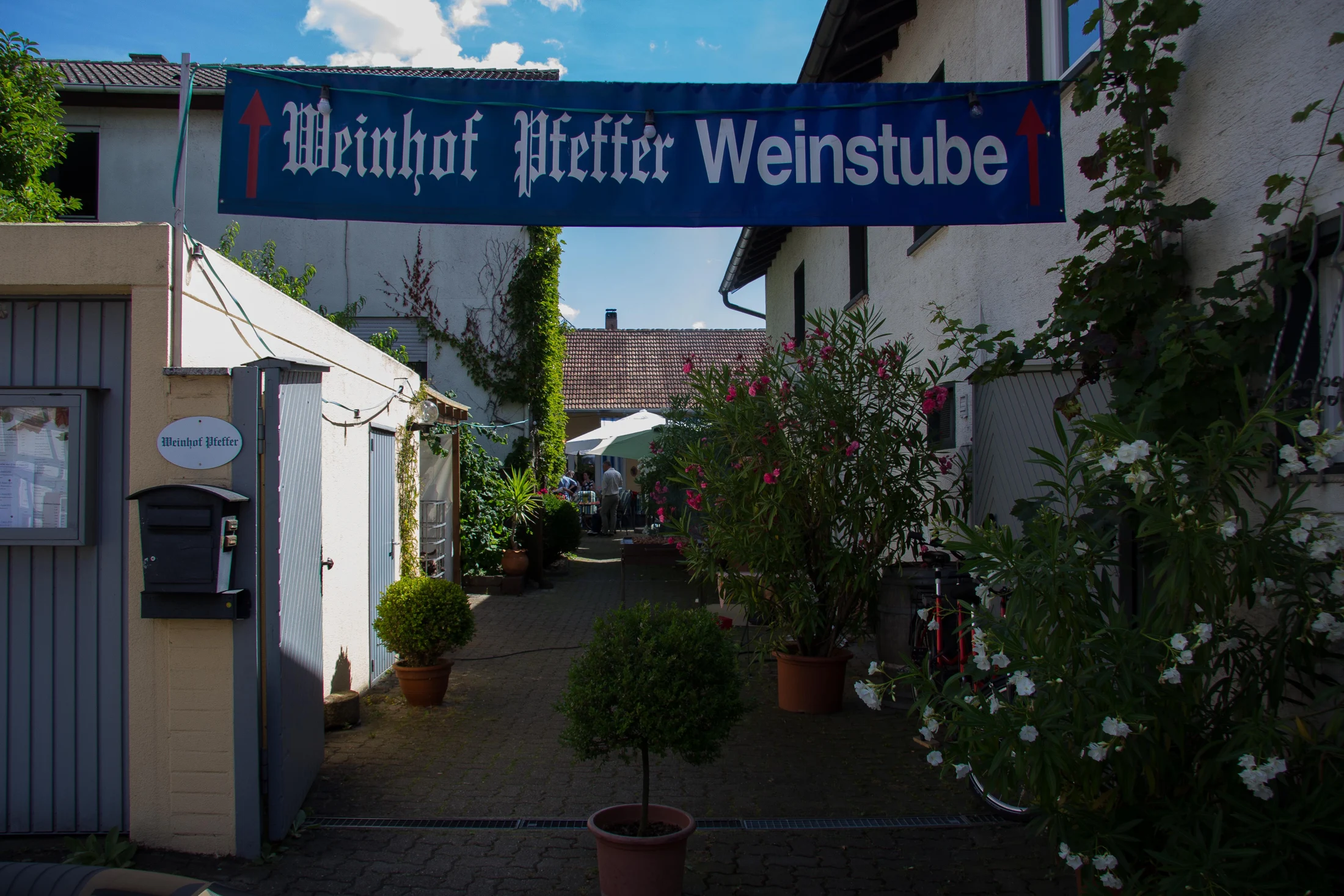 Der Weinhof Pfeffer in Klingenmünster